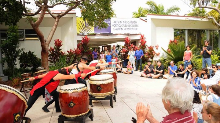 Free Japanese festival