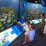 Free events for kids at attraction in Key West