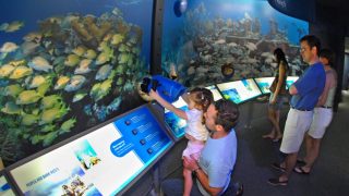 Florida Keys Eco-Discovery Center. Photo by Andy Newman/Florida Keys News Bureau)