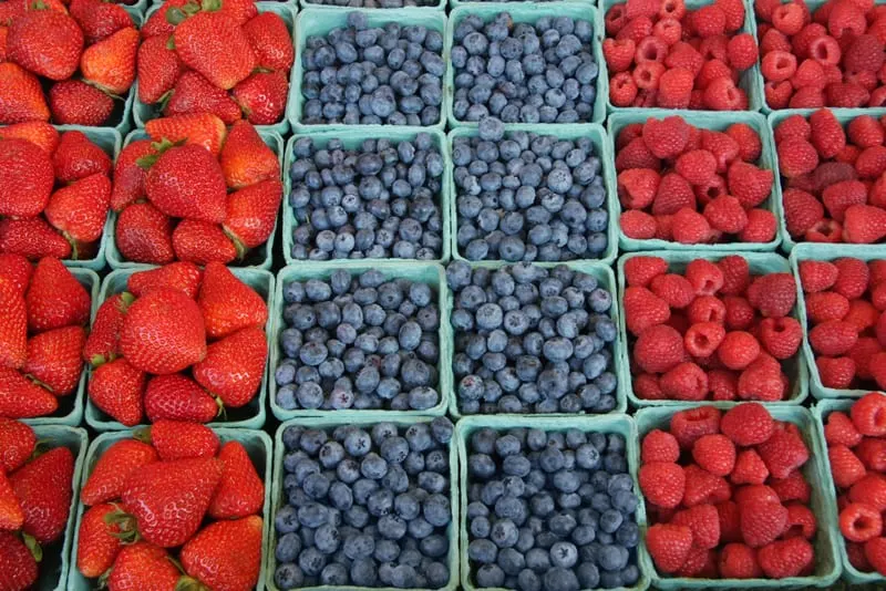 Farmers Markets in Miami