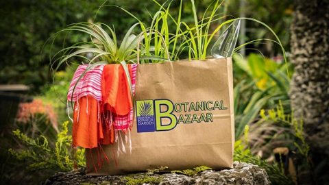 Enjoy free Botanical Bazaar at Miami Beach garden