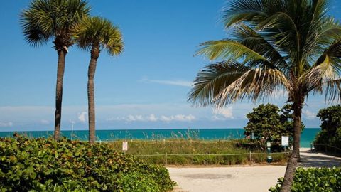 Free Paddletopia Festival in Surfside