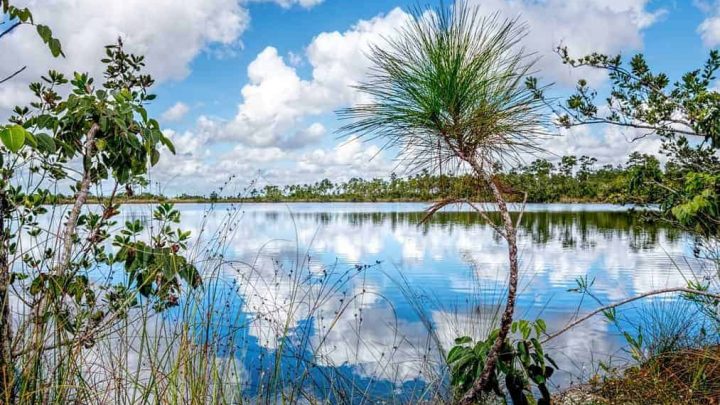 State parks reopening: What to know before you go