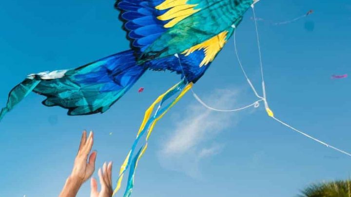 Free Kite Days Festival at Haulover Park