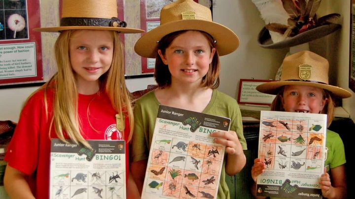 Free Junior Ranger Day at Everglades National Park