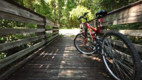 Free community bike ride once a month