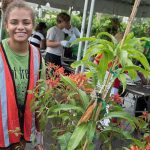 Free trees for Miami-Dade residents