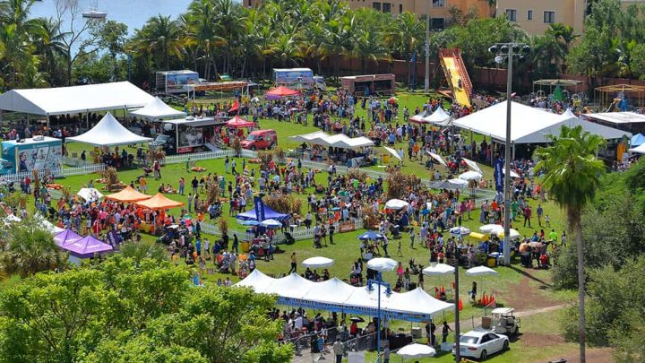 Coconut Grove Pumpkin Patch Festival 30% off