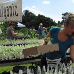 Redland Growfest