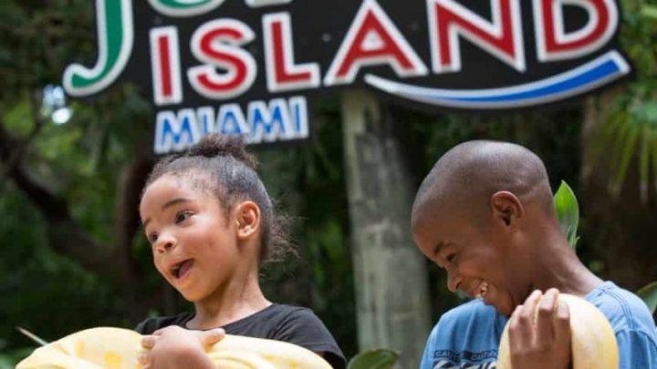 $10 discount on Jungle Island one-day pass in November