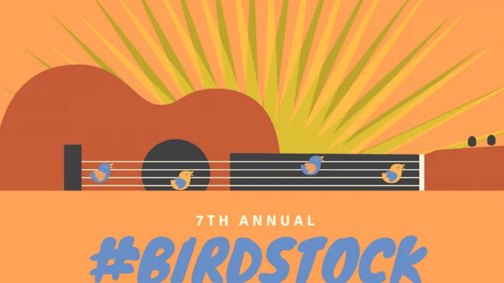 6 bands compete in Birdstock festival