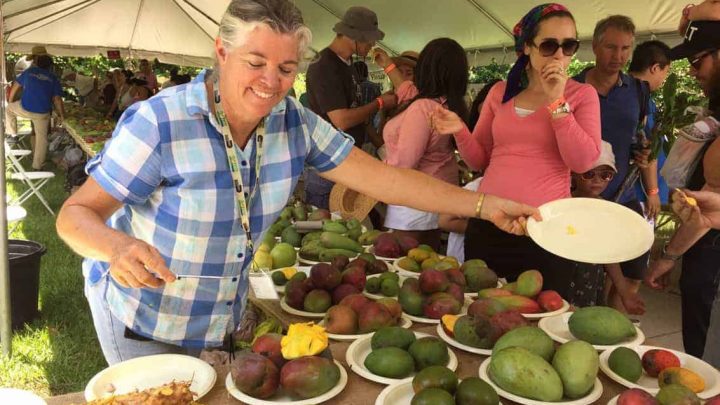 Redland Summer Fruit Festival