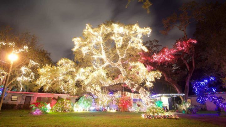 Holiday lights: Where to see Christmas lights in Miami – UPDATED