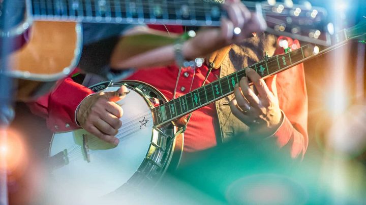 Free bluegrass festival at Greynolds Park