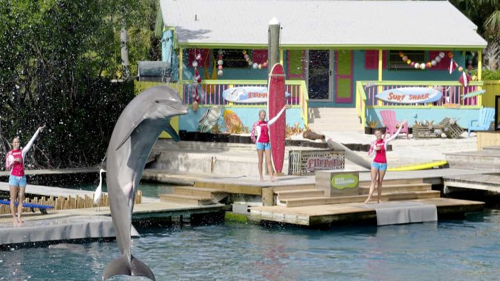 Free kids admission with adult ticket purchase at Miami Seaquarium