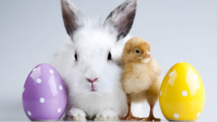 Celebrating Easter in a time of quarantine