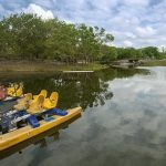 Miami’s city parks fully reopen