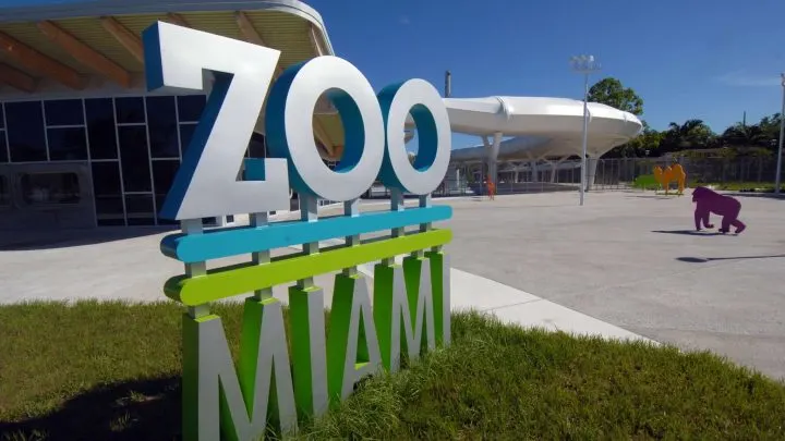 Zoo Miami’s open again! Stroll the wide open spaces