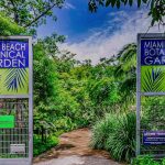 Visit Miami Beach Botanical Garden for $5