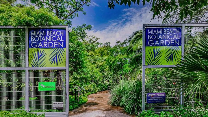 Visit Miami Beach Botanical Garden for $5