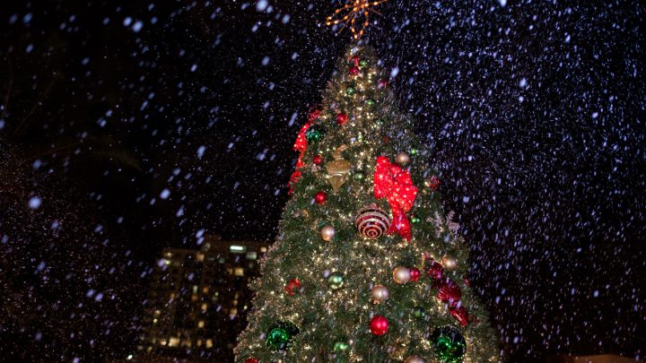 Free & cheap holiday events in Miami