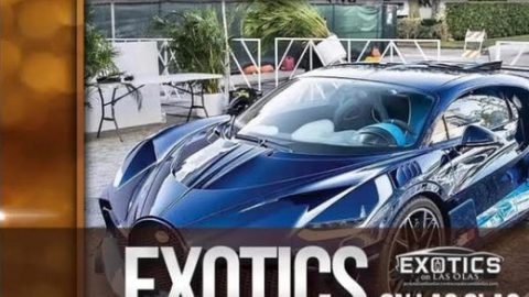 Free entry for Exotics on Las Olas in Fort Lauderdale