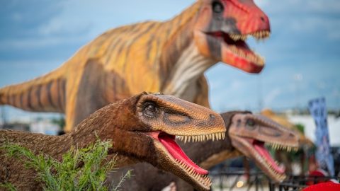 No longer offered: Dinosaur Drive-Thru in Sunrise