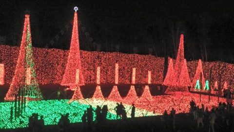 Holiday Lights & Holiday Displays