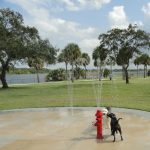 Dog Park With Water-Spraying Features At Quiet Waters Park in Deerfield